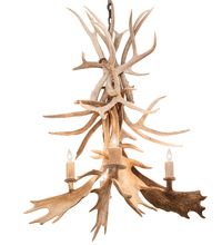 Meyda Green 212272 - 28" Wide Antlers White Tail & Fallow Deer 4 Light Chandelier