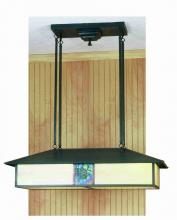 Meyda Green 56401 - 35"L Winter Pine Oblong Pendant