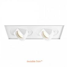 WAC Online MT-5LD225TL-F30-WT - Tesla LED Multiple Two Light Invisible Trim with Light Engine