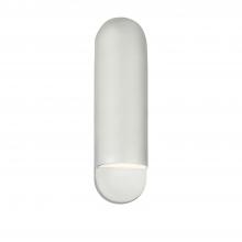  CER-5630W-BIS - Large ADA Capsule Outdoor Wall Sconce