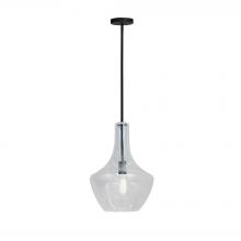  FSN-4170-SEED-MBLK - Harlow 12" Pendant