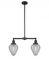 Innovations Lighting 209-BK-G165-LED - Geneseo - 2 Light - 21 inch - Matte Black - Stem Hung - Island Light