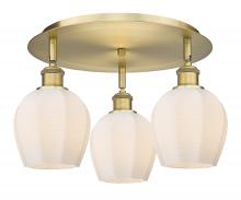  516-3C-BB-G461-6 - Norfolk - 3 Light - 18 inch - Brushed Brass - Flush Mount