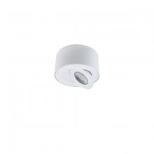  FM-W44205-35-WT - I Spy Outdoor Flush Mount Light