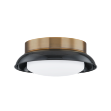 Troy C2014-PBR/GBK - ARNIE Flush Mount