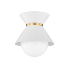  C8610-SWH/PBR - Scout Flush Mount