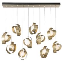 Hubbardton Forge 131208-SKT-STND-86-GG0711 - Riza 10-Light Pendant