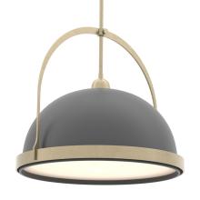 Hubbardton Forge 137462-SKT-MULT-84-10 - Atlas Large Pendant