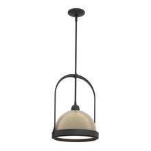 Hubbardton Forge 187462-SKT-MULT-10-84 - Atlas Small Pendant