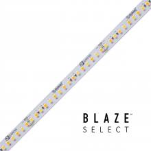  DI-24V-BLSEL-TW2460-100 - STRIP/TAPE LIGHT