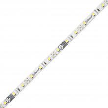  DI-12V-FV20-8016 - FLUID VIEW LED Tape Light - 12V, 2000K, 80 CRI, 16.4 ft.