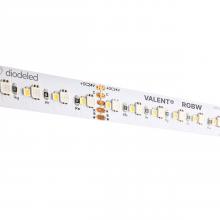  DI-24V-VL-RGBW-100 - STRIP/TAPE LIGHT