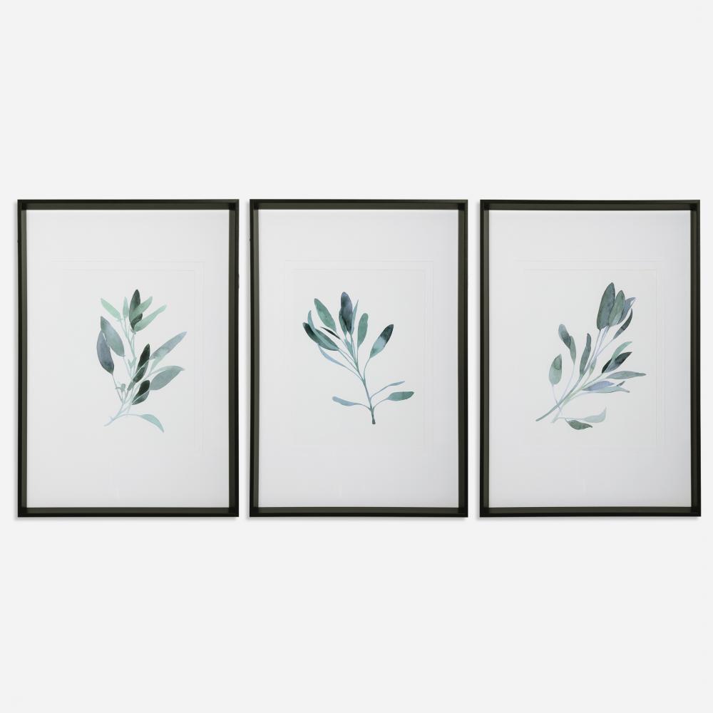 Uttermost Simple Sage Watercolor Prints, S/3