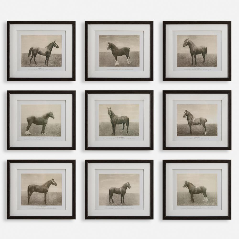 Uttermost Equine Dynasty Framed Prints, S/9