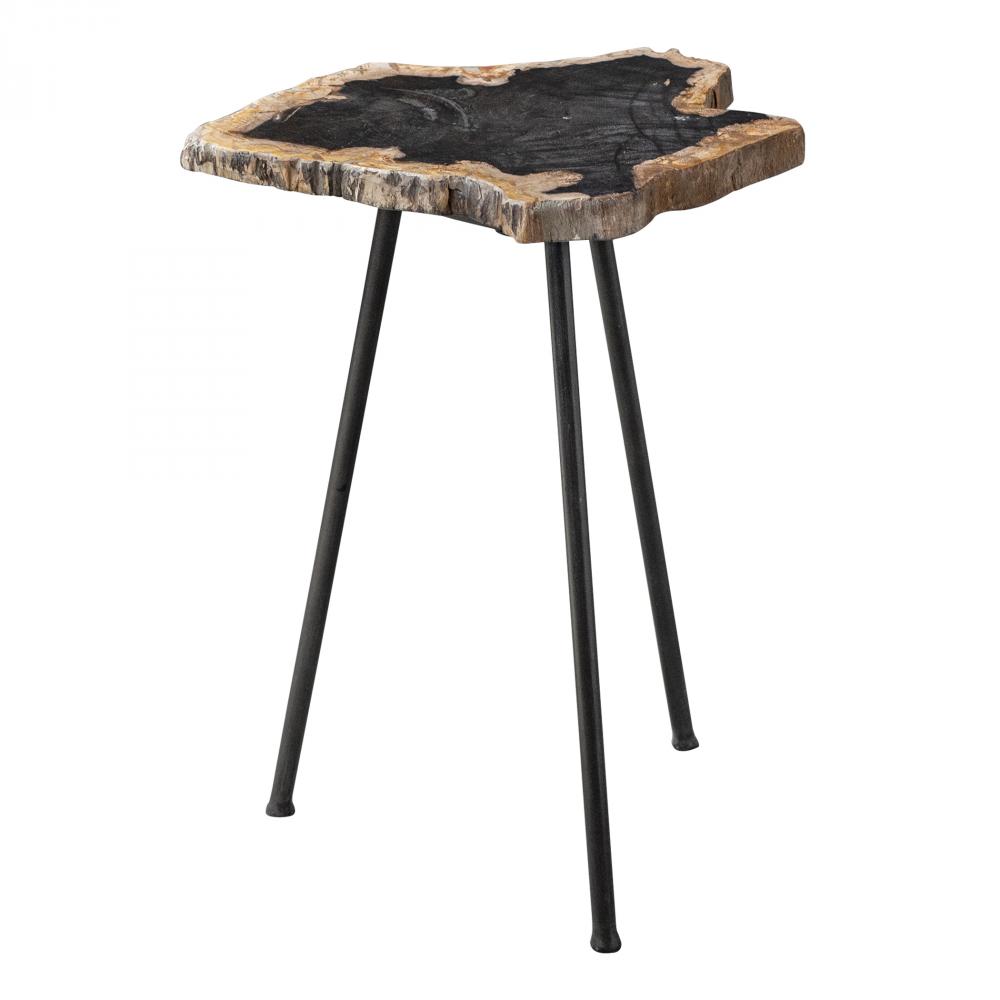 Uttermost Mircea Petrified Wood Accent Table