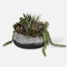  60214 - Uttermost Yuma Succulent Centerpiece