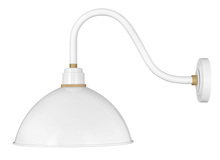  10645GW - Medium Gooseneck Barn Light