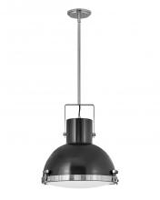  49065PN - Large Pendant